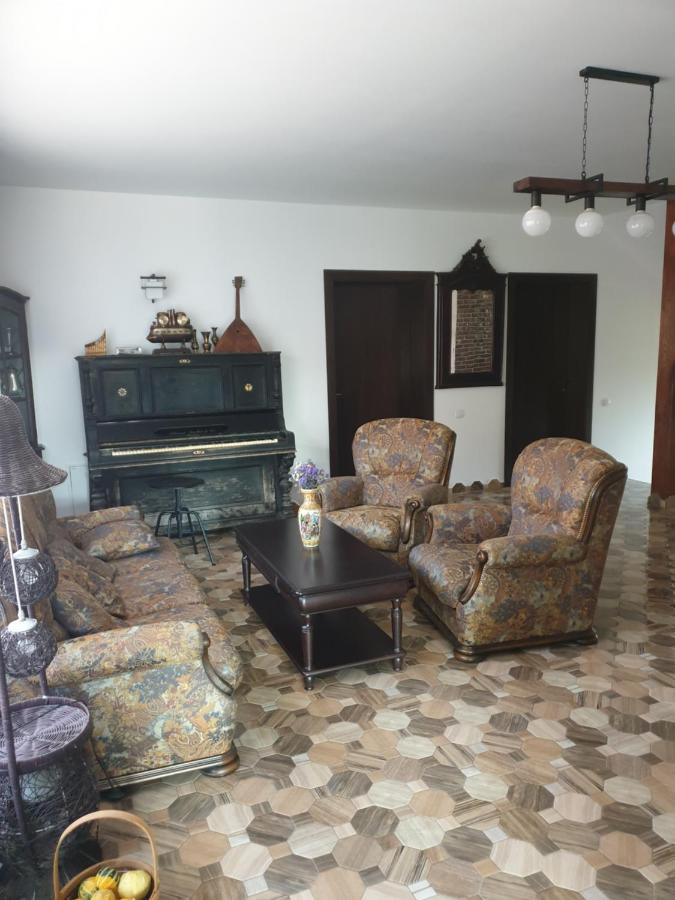 Casa Danei Hotel Braşov Eksteriør billede