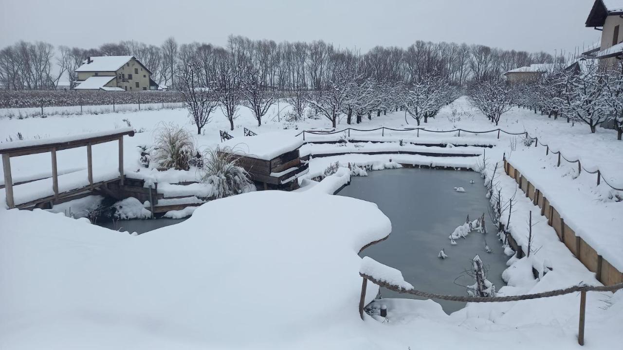Casa Danei Hotel Braşov Eksteriør billede