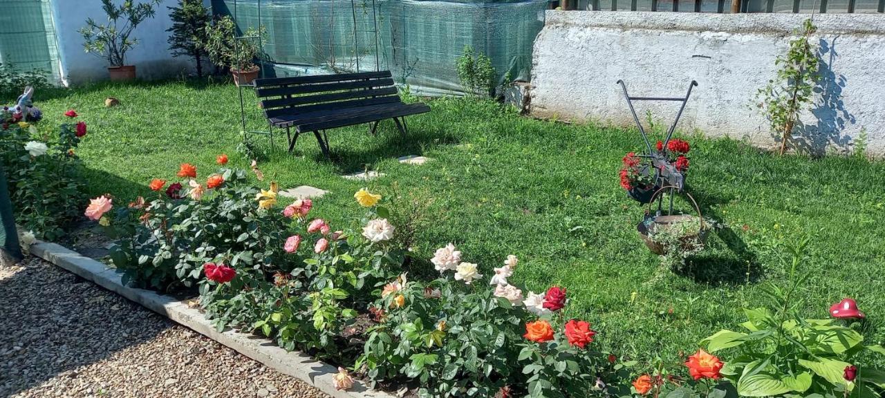 Casa Danei Hotel Braşov Eksteriør billede